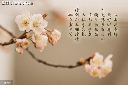 詩句,講究,方法