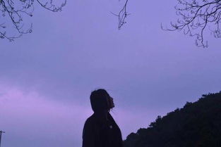 思念老同學的古詩句