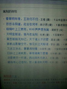 關于送別和思鄉(xiāng)的詩句