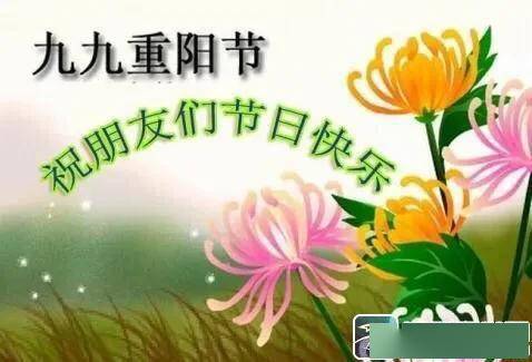 關(guān)于愛的詩句或名言,關(guān)于愛讀書的詩句,關(guān)于愛勞動(dòng)的詩句