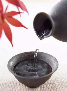 關于酒的詩句較為奔放