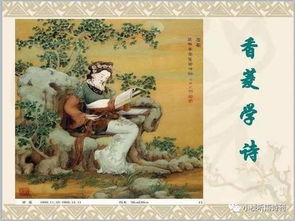 紅樓夢(mèng)關(guān)于讀書的詩(shī)句