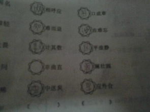 詩(shī)句,結(jié)尾