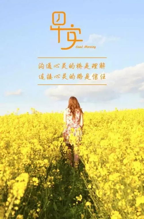 送給朋友的古詩名句,適合送給朋友的古詩,送給朋友的古詩祝福語