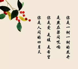 詩句,初見,表達,美好