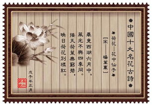 帶花名的詩句古詩大全,帶花的詩句古詩小學,三年級帶花的詩句古詩
