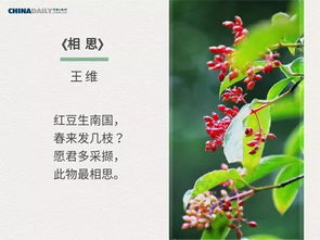 古詩(shī),詩(shī)句,中國(guó),春天