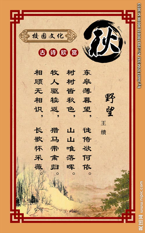 古詩野望詩句