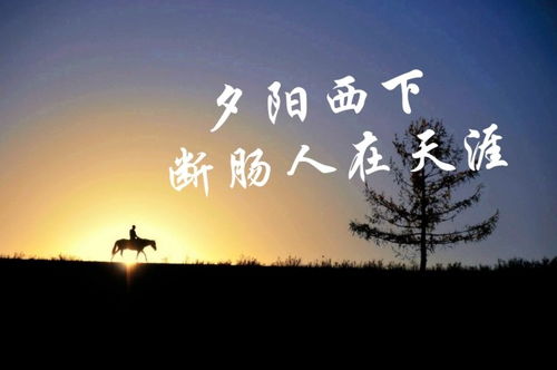 表達(dá)悲傷孤獨(dú)的古詩句