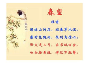 表達(dá)辭舊迎新的古詩句,表達(dá)深情的古詩句,表達(dá)生日祝福的古詩句