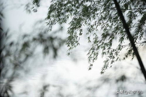 古詩,詩句