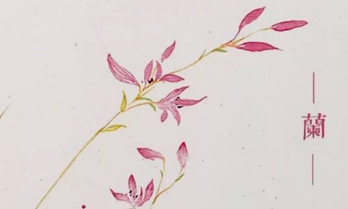 關(guān)于花的古詩句.20句