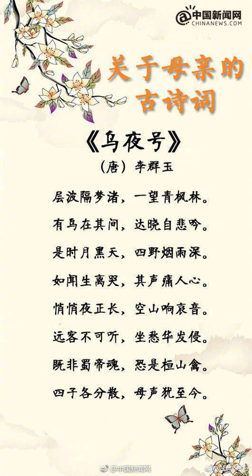 我的愛,詩句,媽媽