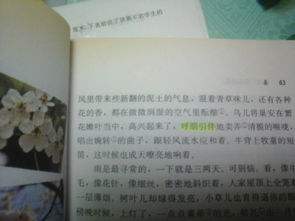 關(guān)于春干的詩(shī)句四字詞語(yǔ)