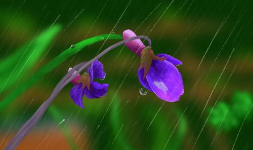 詩句,山雨,春花,有哪些