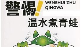 詩句,青蛙