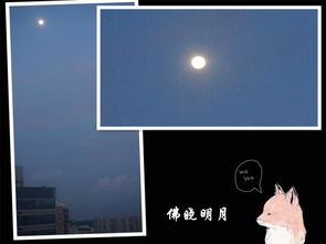 關于中秋觀月的詩句