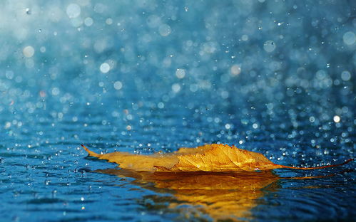 關(guān)于雨滋潤(rùn)莊稼的詩(shī)句