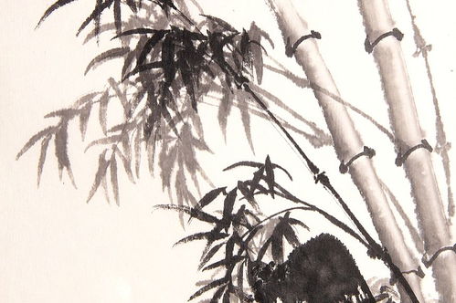 描寫竹子詩(shī)句古詩(shī)句子
