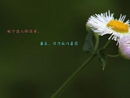 關(guān)于保護(hù)小花的詩(shī)句