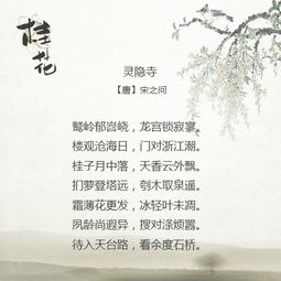 一首,詩句,自編