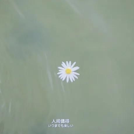 堅定的古詩句