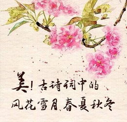 夏天描寫成長的詩句古詩詞