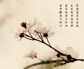 帶花的詩句古詩小學,三年級帶花的詩句古詩,帶花的詩句古詩二年級