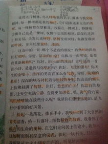 悼念德高望重老人的古詩句