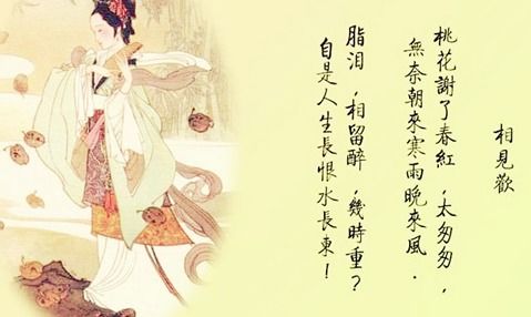 詩句,抒情