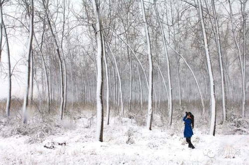 下雪天想念某人的古詩句