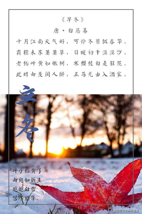 有關(guān)于立冬的詩句或諺語