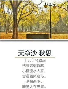 古代關(guān)于秋天的詩句有哪些