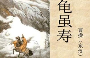 描寫頑強(qiáng)拼搏古詩句