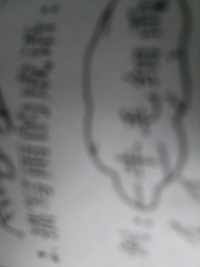 關(guān)于雨的詩句成語俗語諺語,關(guān)于雨的詩句和成語還有俗語,關(guān)于雨的成語和俗語和詩句