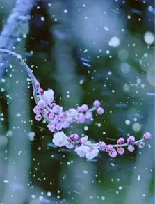 醉花間馮延巳古詩句