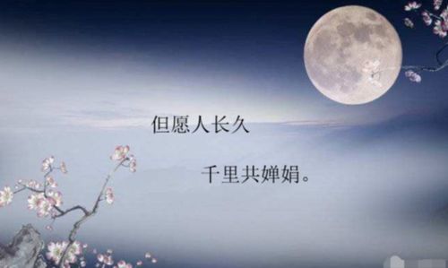 中秋節(jié)關(guān)于月亮的詩句古詩
