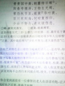 詩(shī)句,珍惜