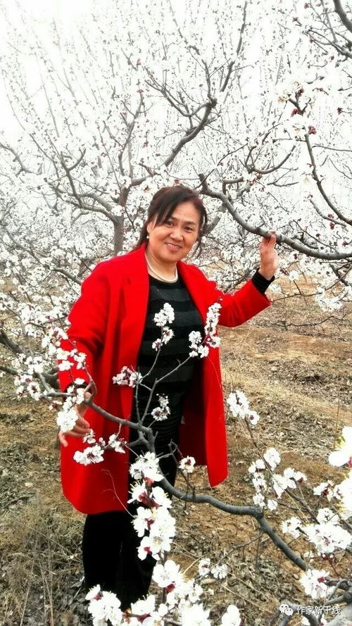 關于黃玫瑰的詩句