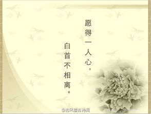 最唯美和激勵(lì)人的古詩句