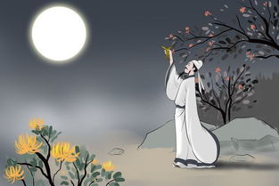 古詩菊花的詩句帶拼音,帶菊花的詩句古詩,關(guān)于菊花的詩句古詩