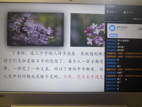 詩(shī)句中有丁香結(jié)的古詩(shī)