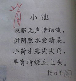 小學(xué)五級(jí)關(guān)于夏的詩(shī)句