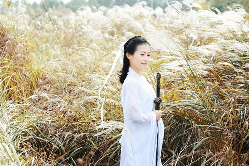 關于小龍女的詩句