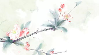 關于植物的古詩和詩句