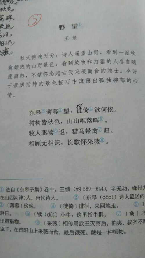 八級(jí)上冊(cè)優(yōu)美古詩(shī)句