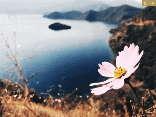 藍(lán)的詩句古詩