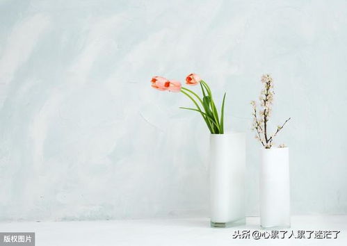 過好每一天的古詩(shī)句