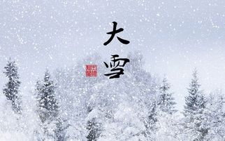 關(guān)于雪端莊沉靜的古詩句