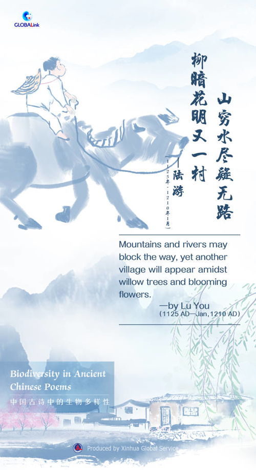古詩中舍小家保國家的詩句
